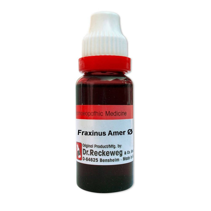 Dr. Reckeweg Fraxinus Amer Mother Tincture Q