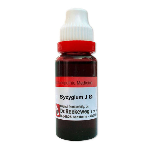 Dr. Reckeweg Syzygium J Mother Tincture Q - 1X - 20 ml