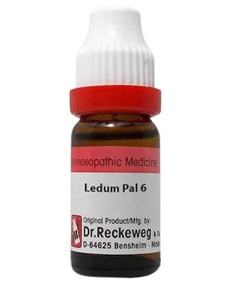 Dr. Reckeweg Ledum Pal Dilution - 6 CH - 11 ml