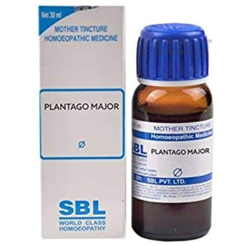 SBL Homeopathy Plantago Major Mother Tincture Q - 30 ml